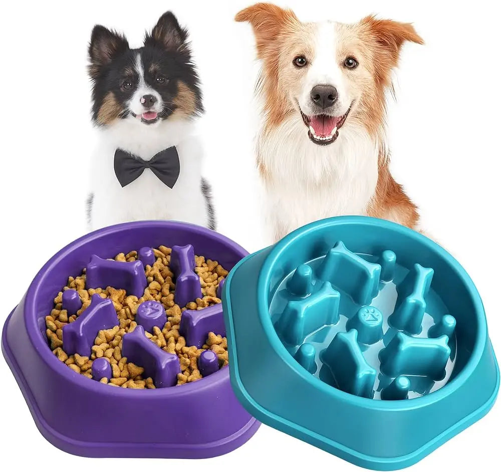Slow Feeder Pet Bowl Blue