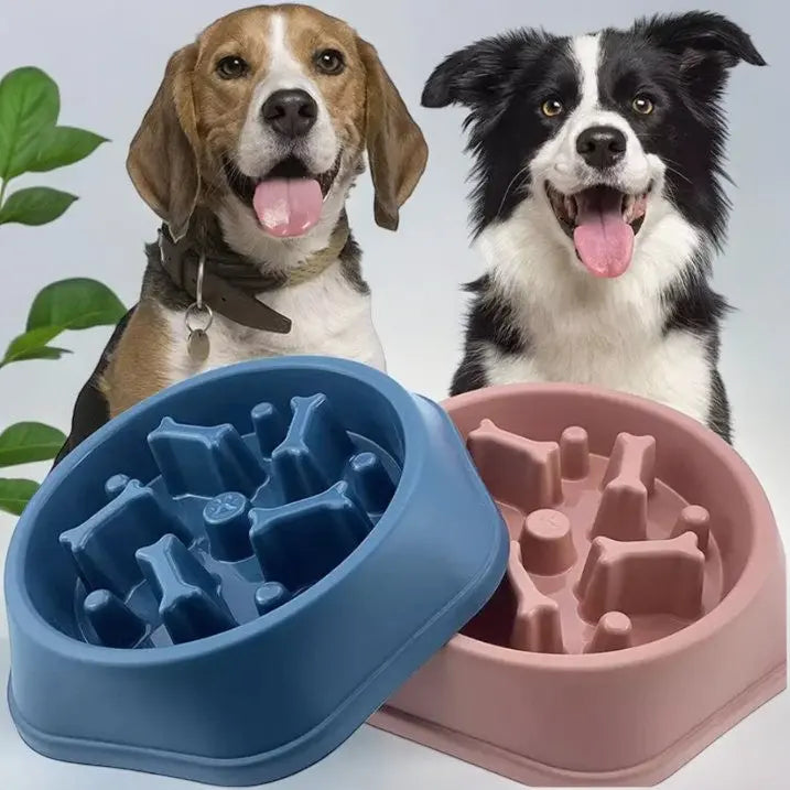 Slow Feeder Pet Bowl Blue